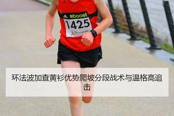 环法波加查黄衫优势爬坡分段战术与温格高追击