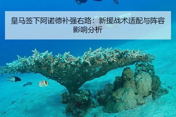 huang-ma-qian-xia-a-nuo-de-bu-qiang-you-lu-xin-yuan-zhan-shu-shi-pei-yu-zhen-rong-ying-xiang-fen-xi-1-560.jpg